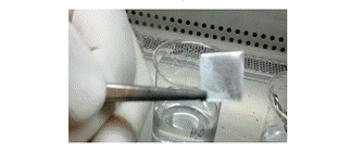 Gráfico, Gráfico de líneas

Descripción generada automáticamente