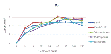 Gráfico, Gráfico de líneas

Descripción generada automáticamente