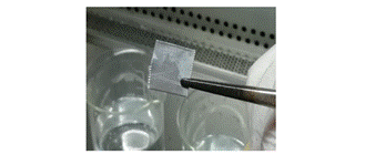 Imagen que contiene interior, foto, artículos, diferente

Descripción generada automáticamente