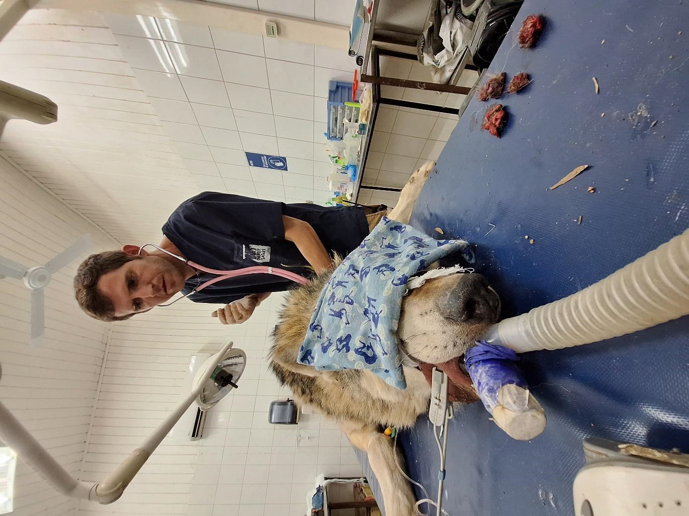 Imagen que contiene interior, relleno, oso de peluche, oso

Descripci&oacute;n generada autom&aacute;ticamente