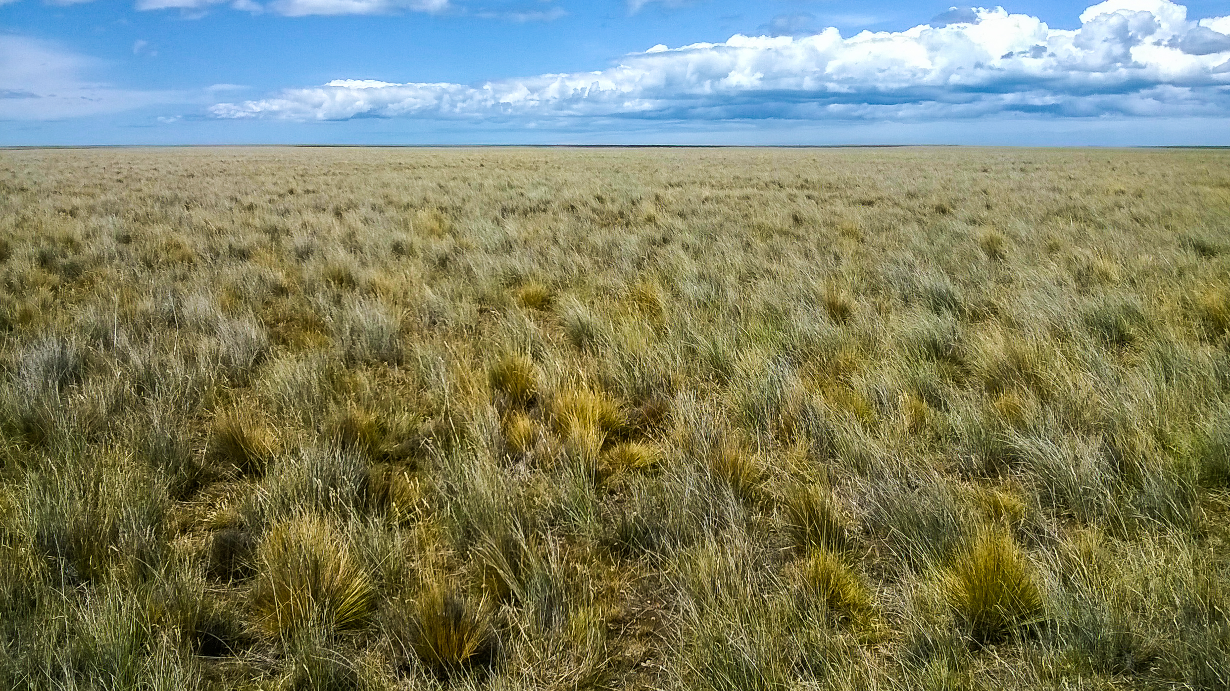 Patagonia Argentina (Imagen: Ferrante, Daniela)