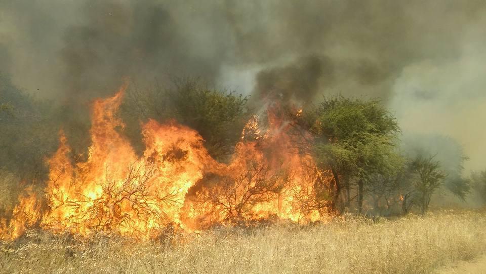 Incendio de caldenal, La Pampa, Argentina. Fotografía: M. Mosiejchuk